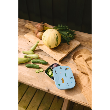 Liewood Liewood | Arthur Printed Lunchbox | Fun / Beach blue