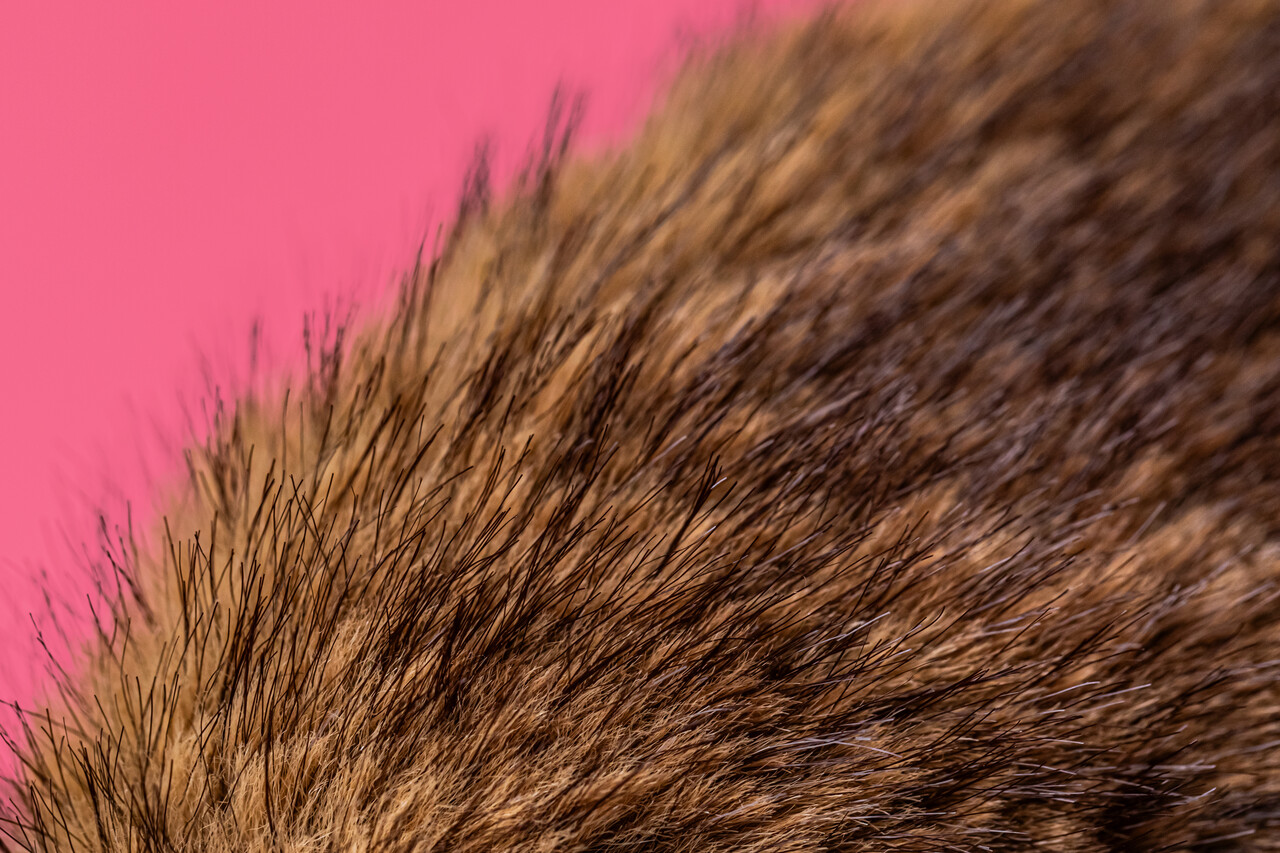 Jellycat Jellycat |  Hoppleston Luxe Bunny Original