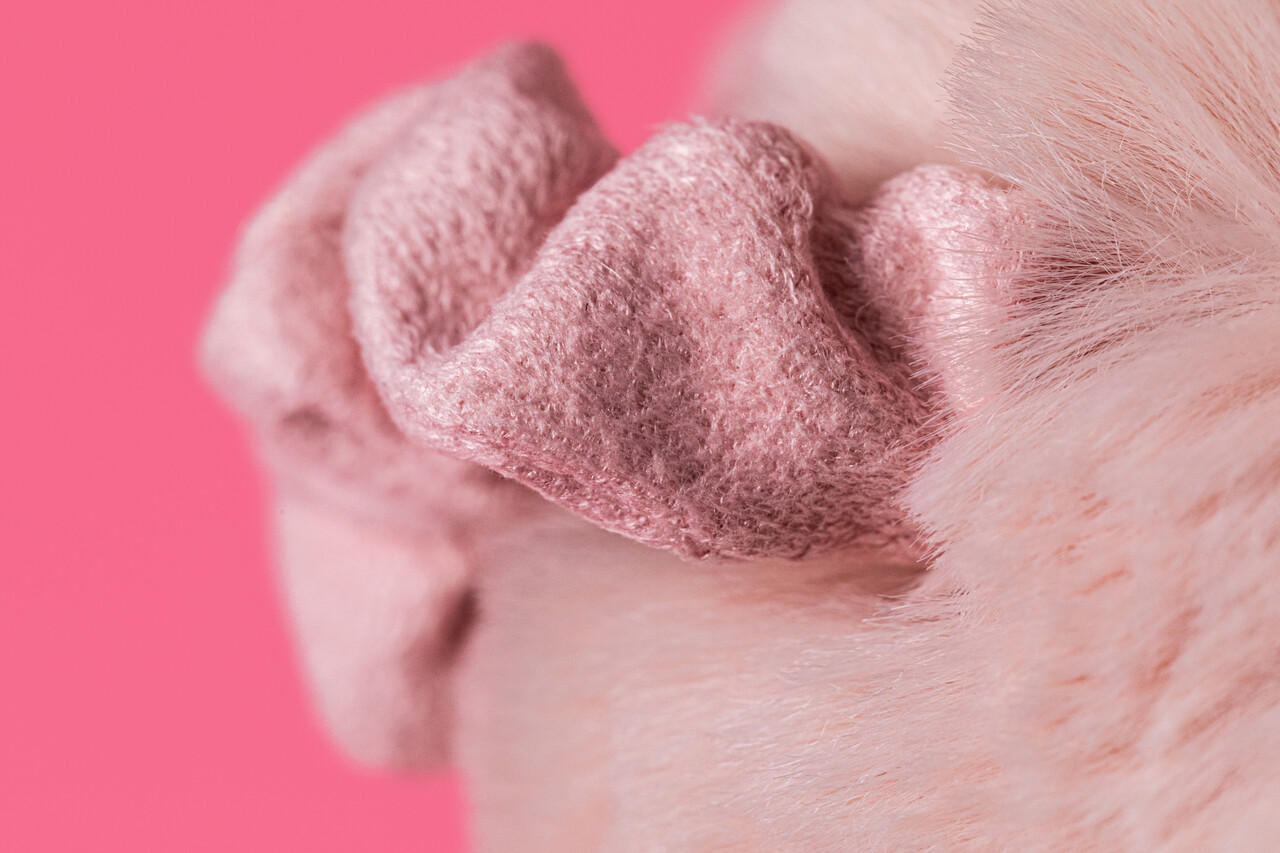 Jellycat Jellycat |  Smudge Pig Original