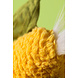 Jellycat Jellycat |  Amuseables Sweetcorn