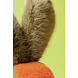 Jellycat Jellycat |  Amuseables Carrot