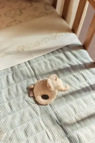 Jollein Jollein | Rammelaar | Elephant Tales