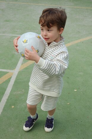 Konges Sløjd Konges Sløjd | Lou Stripe Half Zip Sweat Ocs | Flintstone Stripe