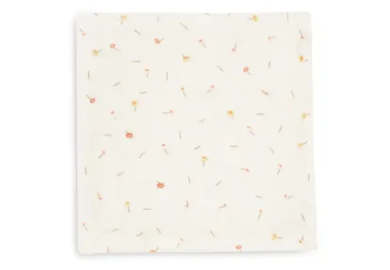 Jollein Jollein | Hydrofiel Monddoekje 31x31cm | Pretty Picnic | 3 pack