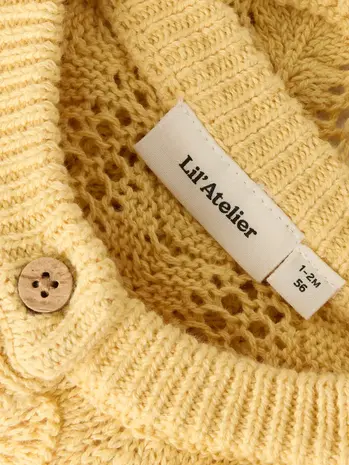 Lil ' Atelier Lil'Atelier | NBFFEA LS KNIT CARD LIL | Sahara Sun