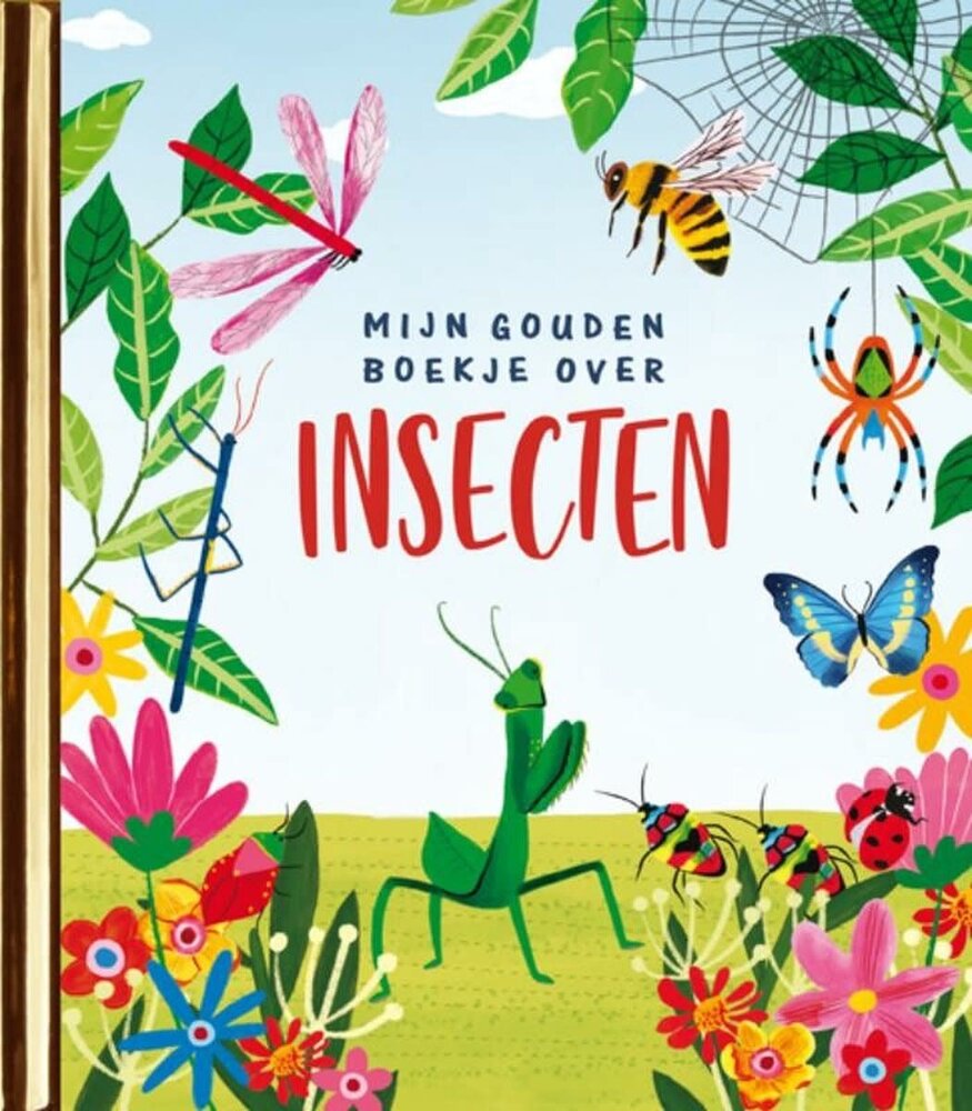 Boeken Boek | Mijn gouden boekje over insecten