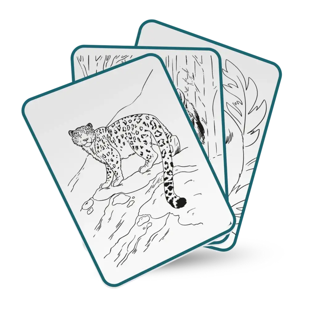 Kidywolf Kidywolf | Kidydraw Pad | Verlichte Tekentafel | Animals