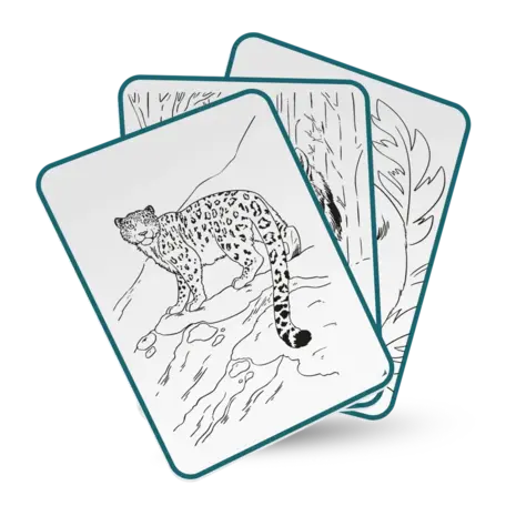 Kidywolf Kidywolf | Kidydraw Pad | Verlichte Tekentafel | Animals