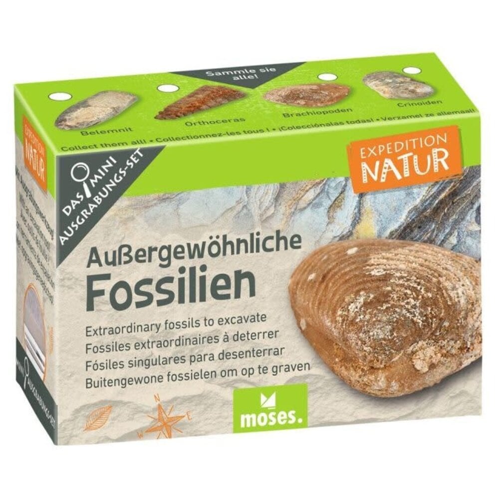 Moses | Expeditie natuur mini uithakset 6 assorti