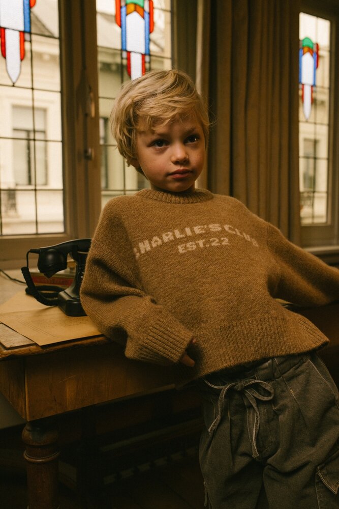 Charlie Petite Charlie Petite | Joan Sweater | Light Brown