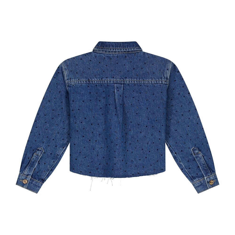 Charlie Petite Charlie Petite | Sage Blouse | Medium Blue