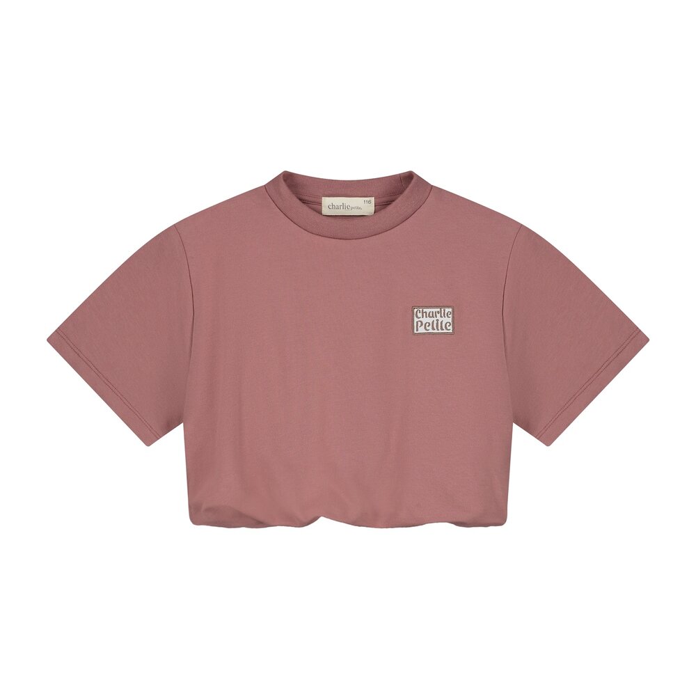 Charlie Petite Charlie Petite | Sanne T-Shirt | Pink