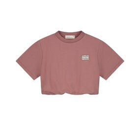 Charlie Petite Charlie Petite | Sanne T-Shirt | Pink