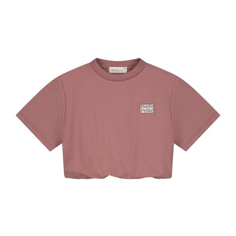 Charlie Petite Charlie Petite | Sanne T-Shirt | Pink