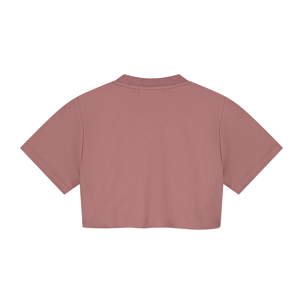 Charlie Petite Charlie Petite | Sanne T-Shirt | Pink