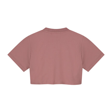 Charlie Petite Charlie Petite | Sanne T-Shirt | Pink
