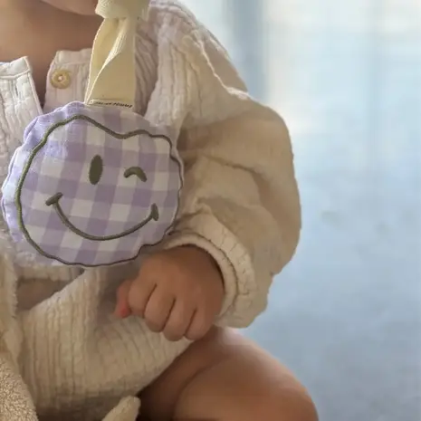 Atelier Pomme Atelier Pomme | Pacifier Cloth | Pomme | Checked Lila