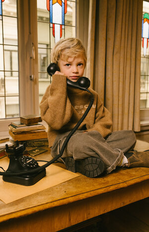 Charlie Petite Charlie Petite | Joan Sweater | Light Brown