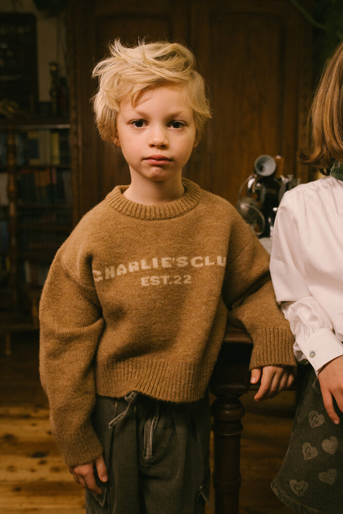 Charlie Petite Charlie Petite | Joan Sweater | Light Brown