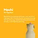 Asobu Asobu | Stainless Steel Water Bottle | Capybara