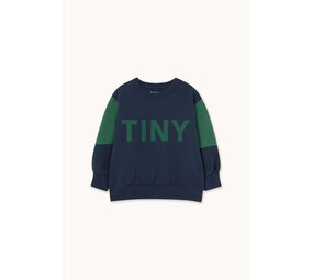 Tiny Cottons Tiny Cottons | Tiny Color Block Sweatshirt