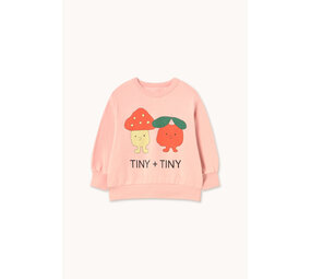 Tiny Cottons Tiny Cottons | Tiny & Tiny Graphic Sweatshirt