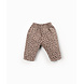 Play Up Play Up | Printed Twill Trousers | Drawing | PA02/2AT11604