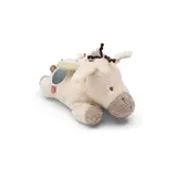 Jollein Jollein | Activiteiten knuffel | Donkey Dinky Jollein Jollein | Activiteiten knuffel | Donkey Dinky