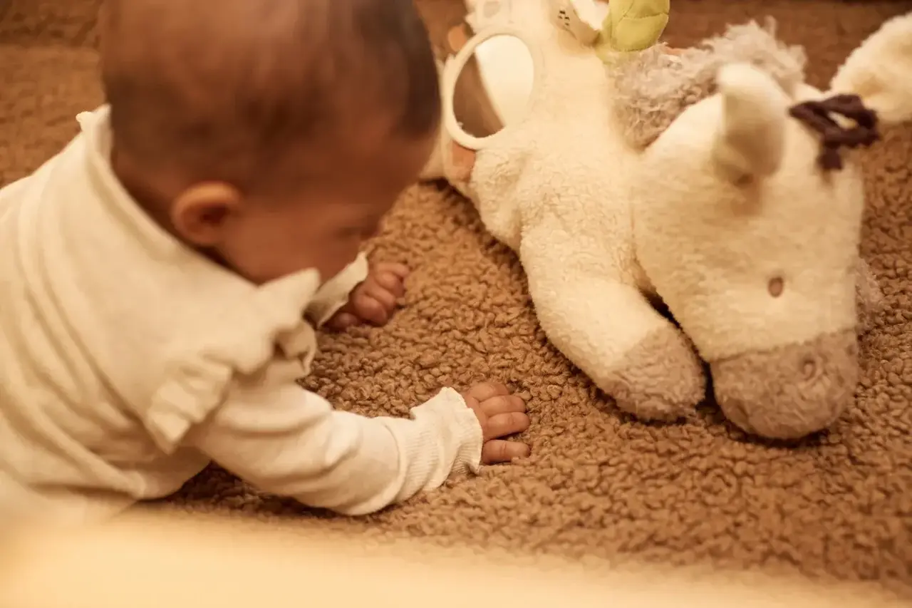 Jollein Jollein | Activiteiten knuffel | Donkey Dinky
