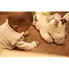 Jollein Jollein | Activiteiten knuffel | Donkey Dinky