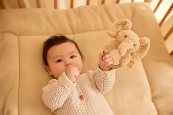 Jollein Jollein | Bijtring | Elephant Suki