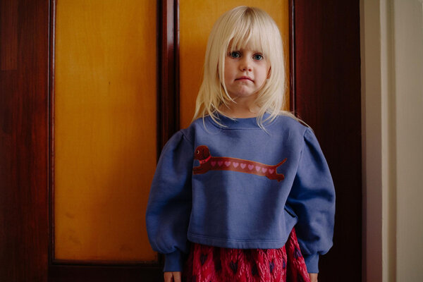 Daily Brat Daily Brat | Heart Dog Cropped Sweater