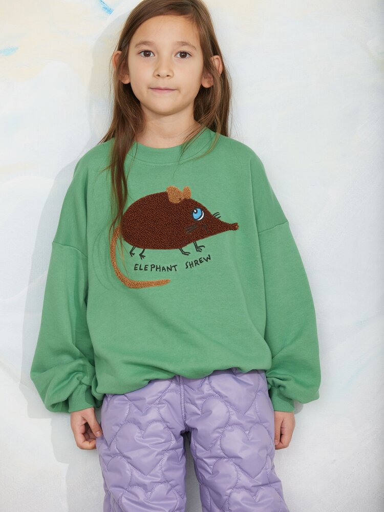 Mini Rodini Mini Rodini | Elephant shrew chenille sweatshirt | Green