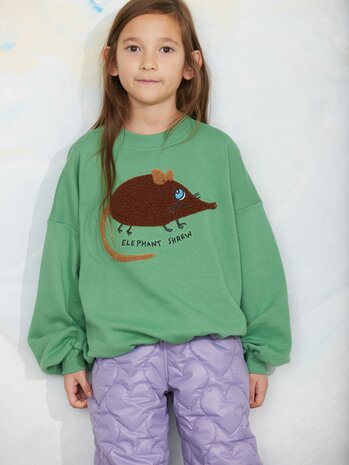 Mini Rodini Mini Rodini | Elephant shrew chenille sweatshirt | Green