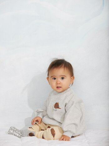 Mini Rodini Mini Rodini | Elephant shrew emb sweatshirt | Grey Melange