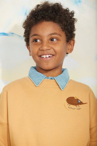 Mini Rodini Mini Rodini | Elephant shrew emb sweatshirt | Beige