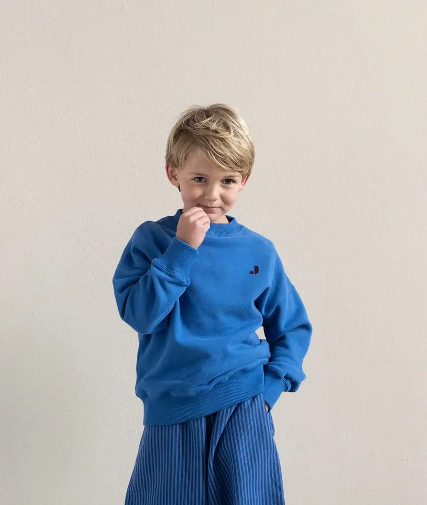 Jenest Jenest | Happy Bird Sweater | Cobalt Blue