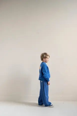 Jenest Jenest | Happy Bird Sweater | Cobalt Blue