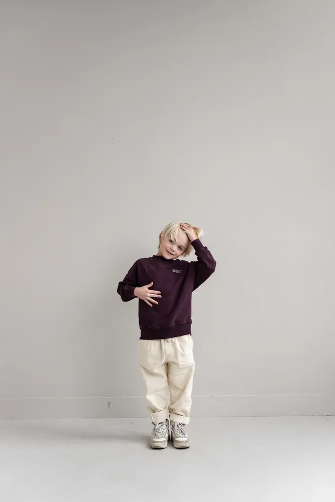 Jenest Jenest | Jnst Sweater | Cherry Bordeaux