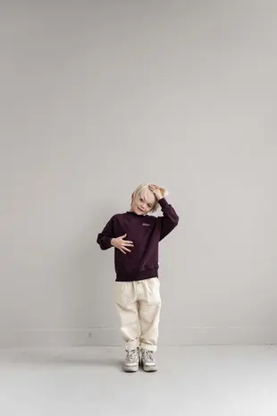Jenest Jenest | Jnst Sweater | Cherry Bordeaux