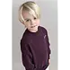 Jenest Jenest | Jnst Sweater | Cherry Bordeaux