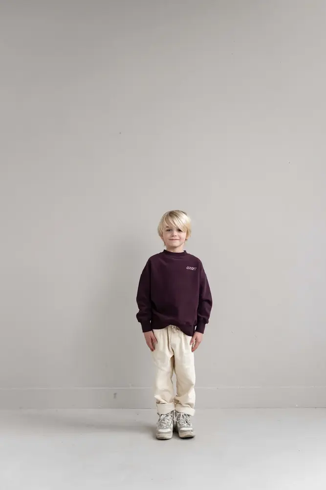 Jenest Jenest | Jnst Sweater | Cherry Bordeaux