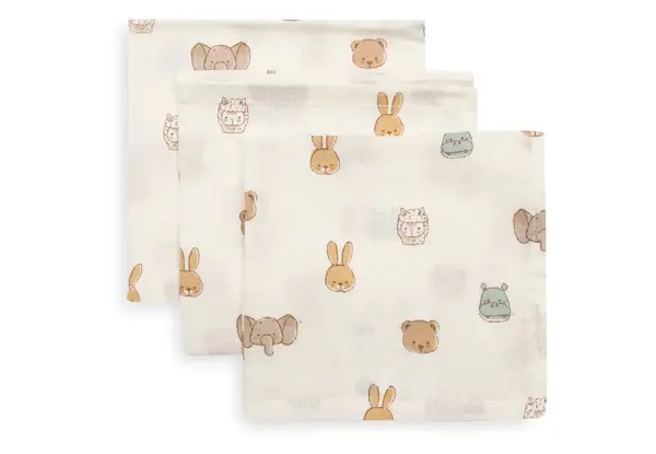 Jollein Jollein | Hydrofiel Monddoekje 31x31cm | Jollies | 3 pack