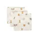Jollein Jollein | Hydrofiel Monddoekje 31x31cm | Jollies | 3 pack