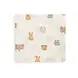 Jollein Jollein | Hydrofiel Monddoekje 31x31cm | Jollies | 3 pack