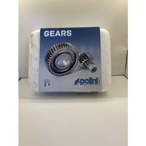 Polini Euro 5 polini vertanding voor Vespa en Piaggio Polini Euro 5 polini vertanding voor Vespa en Piaggio