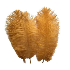 Decor Shop Ostrich Feathers