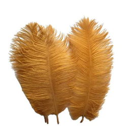 Decor Shop Ostrich Feathers