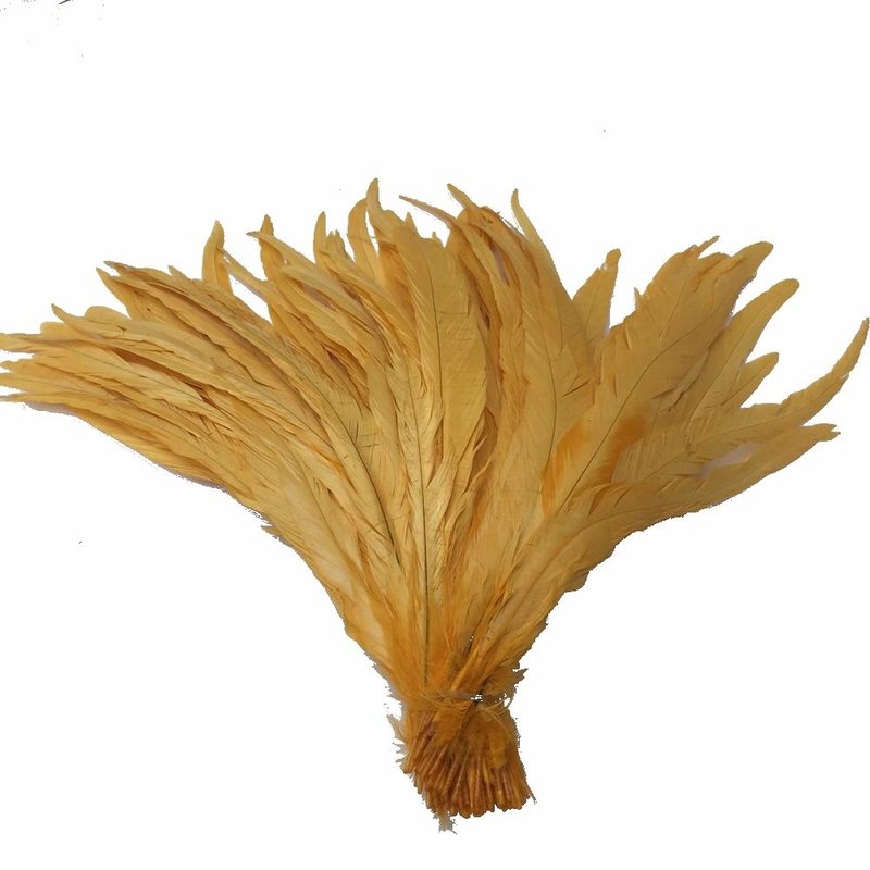 Decor Shop Rooster Feathers