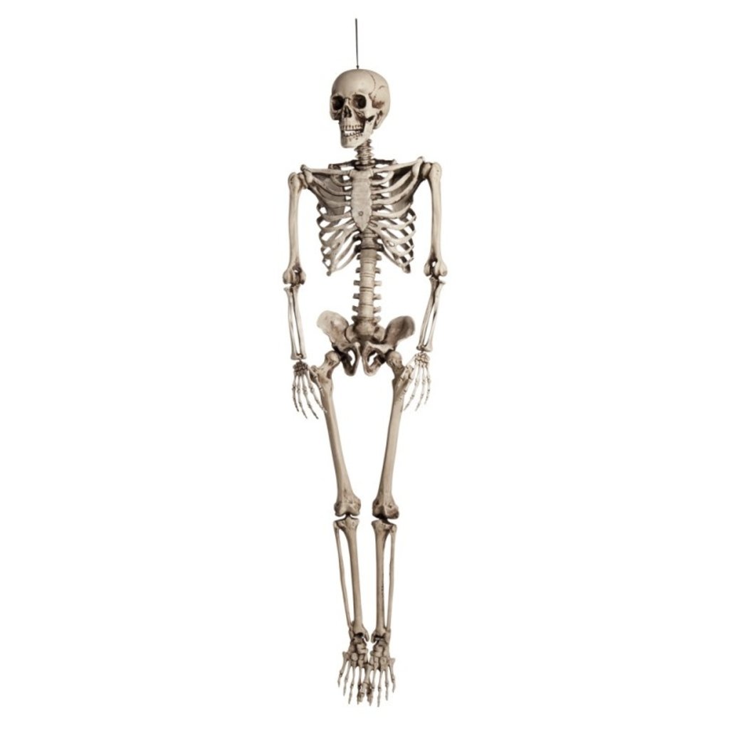 Halloween-Skelett, Kaufen Sie Dekoration Skelett